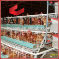 High Quality A Type Chicken Cage System